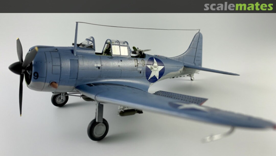 View album, image #1 View album, image #1