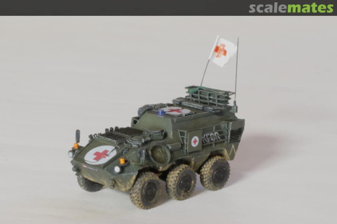 View album, image #25 View album, image #25