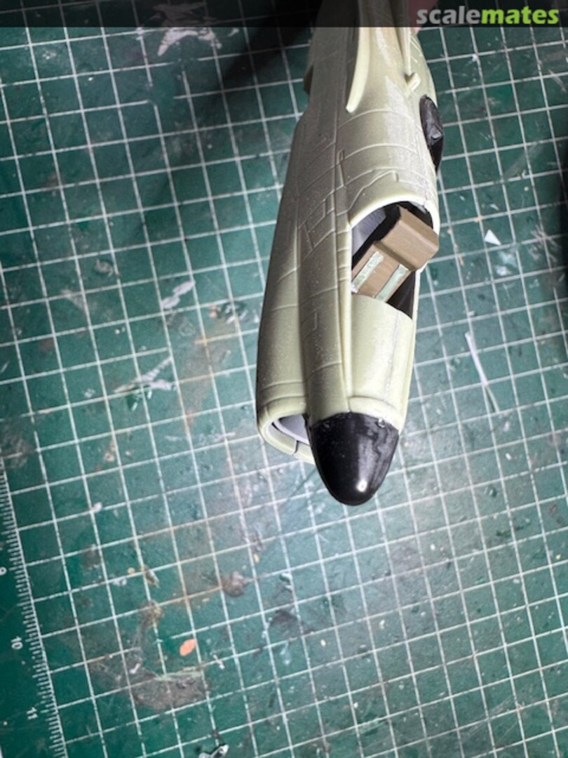 View album, image #1 View album, image #1