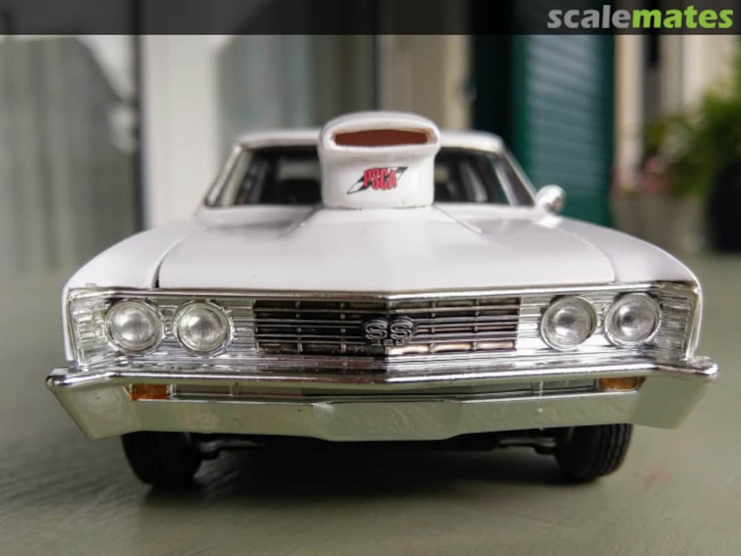 View album, image #1