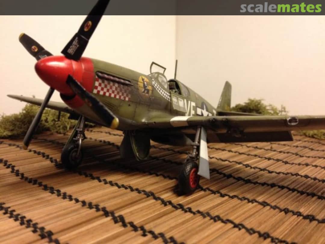 View album, image #1 View album, image #1