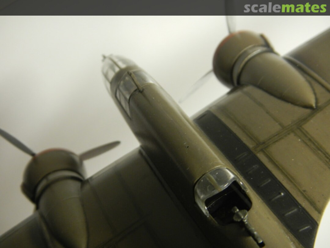 View album, image #1