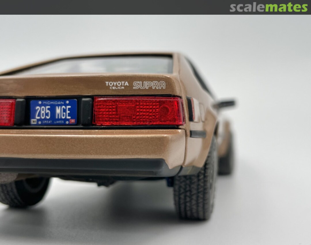 View album, image #11 View album, image #11