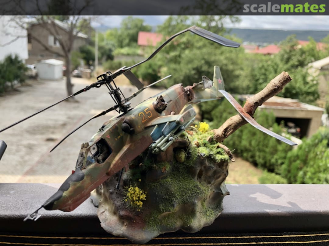 View album, image #57 View album, image #57