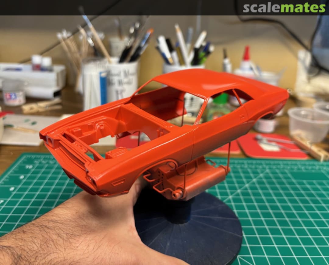 View album, image #9 View album, image #9