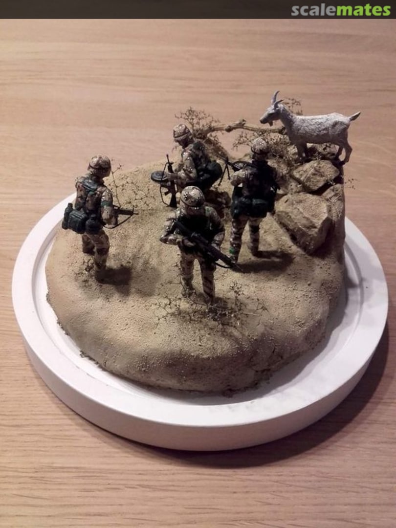 View album, image #1 View album, image #1