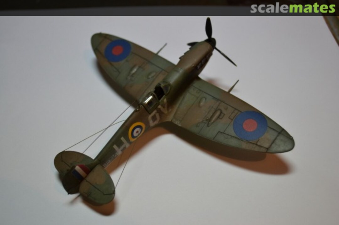 View album, image #9 View album, image #9