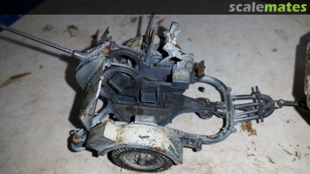 View album, image #12 View album, image #12