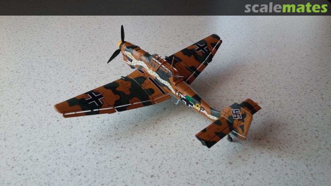 View album, image #17 View album, image #17