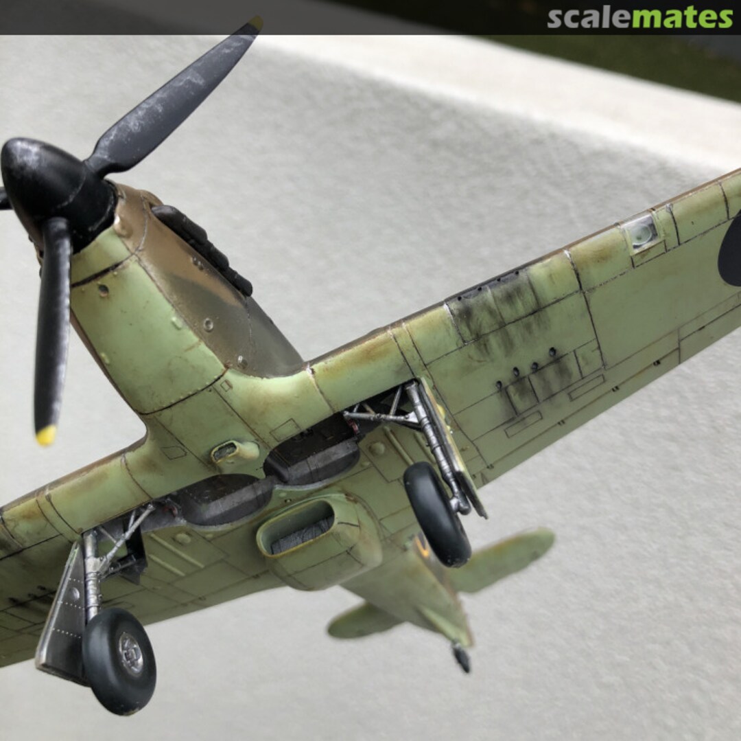 View album, image #1 View album, image #1