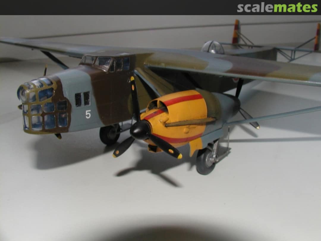 View album, image #1 View album, image #1