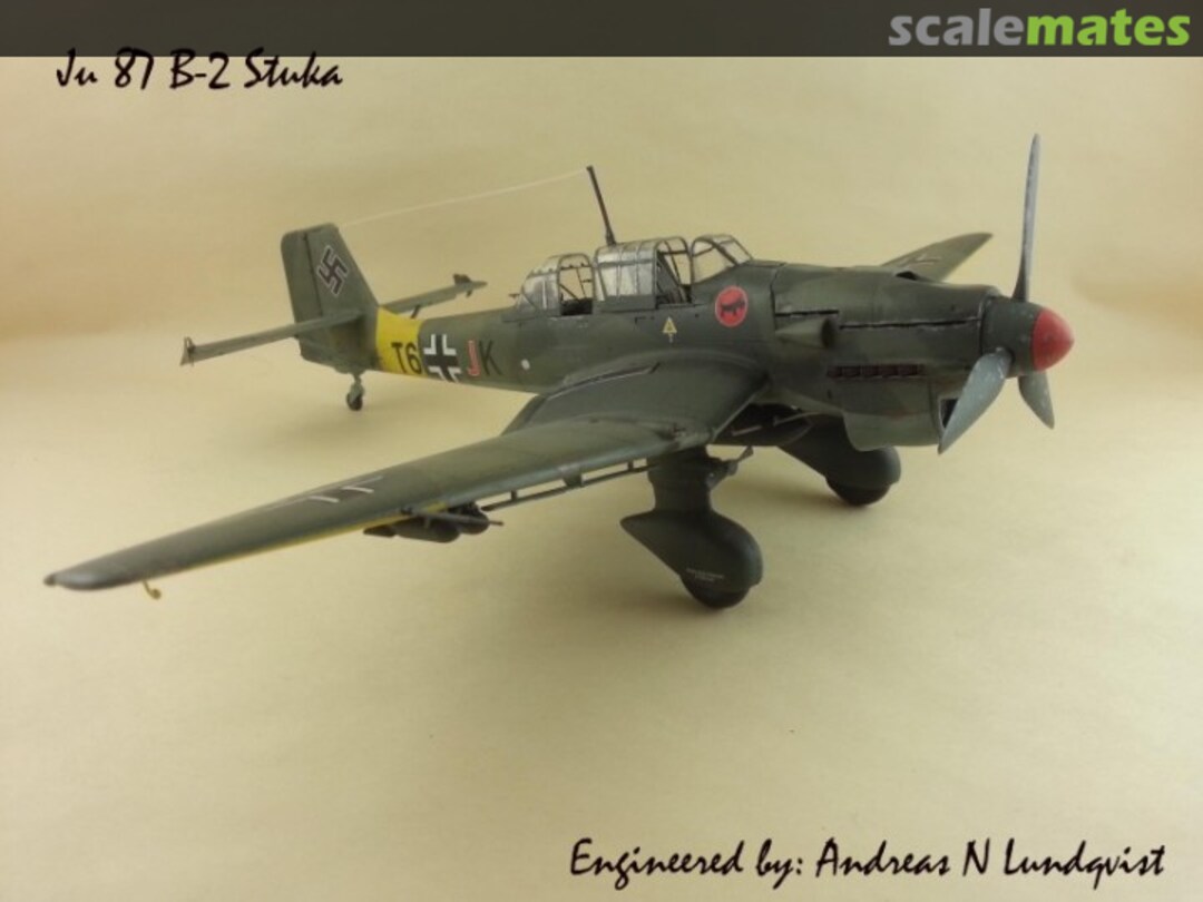 View album, image #1 View album, image #1