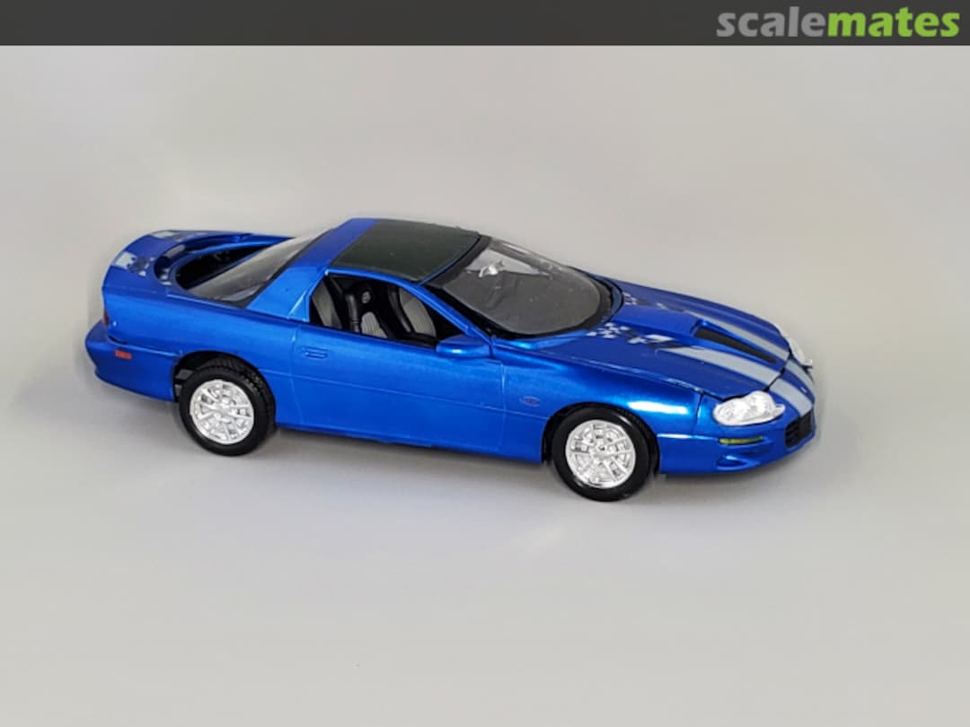 View album, image #1 View album, image #1