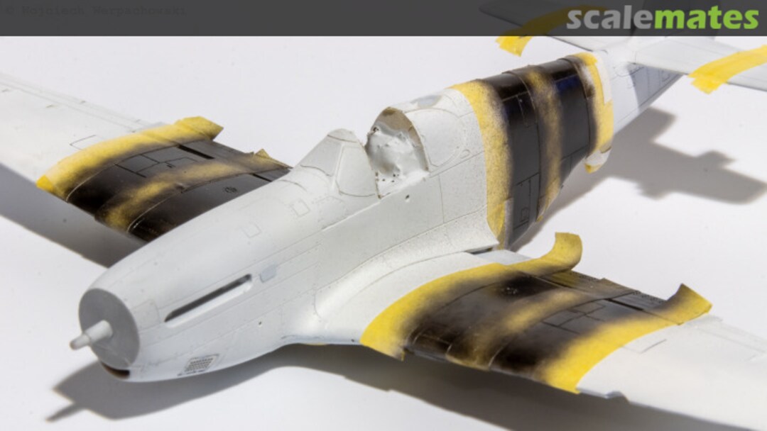 View album, image #1