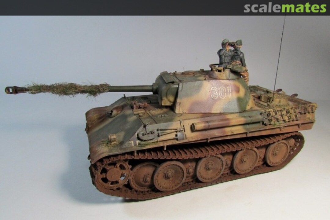 View album, image #1