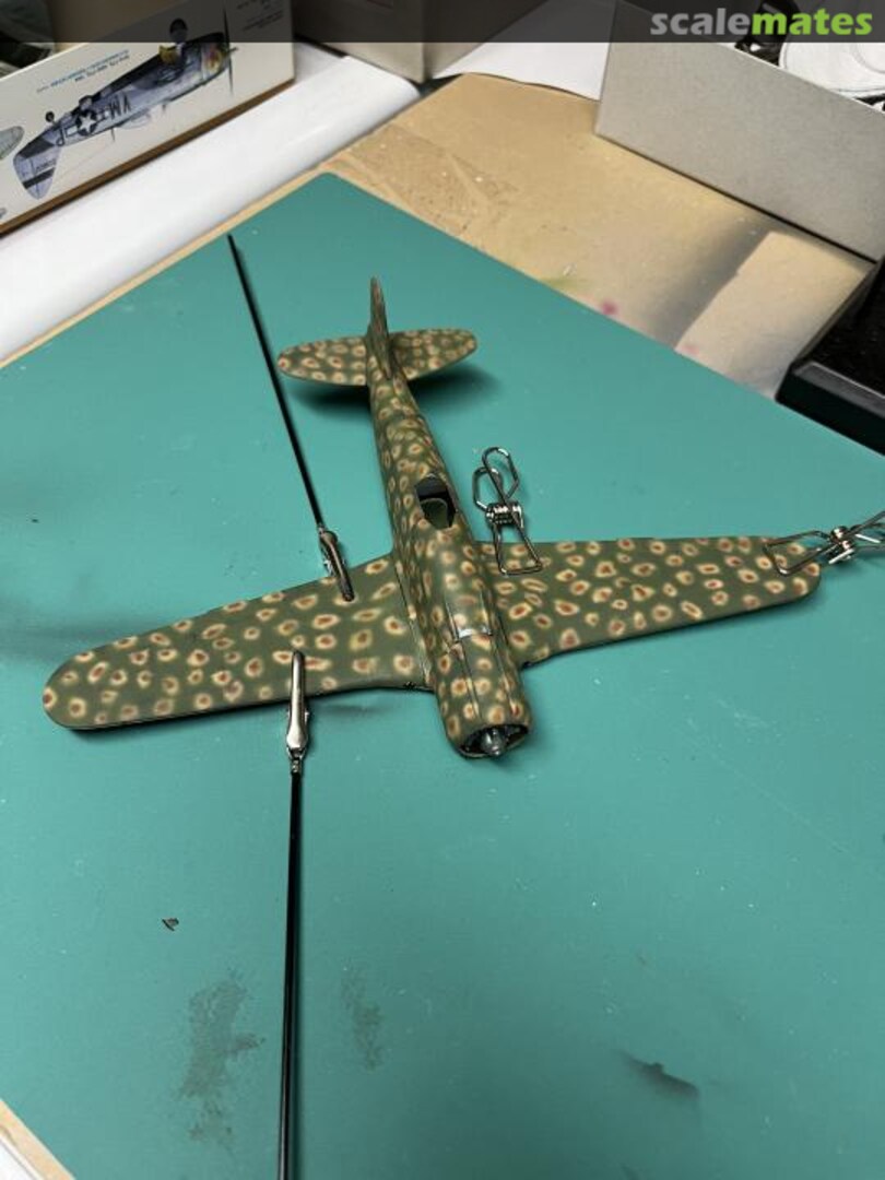 View album, image #1