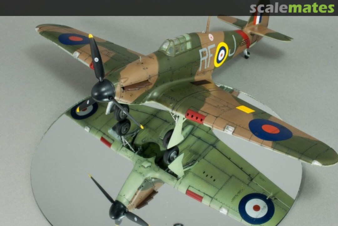 View album, image #1