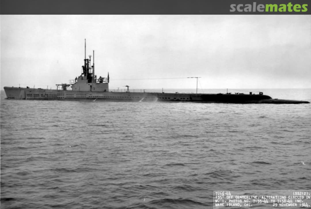 View album, image #1 View album, image #1