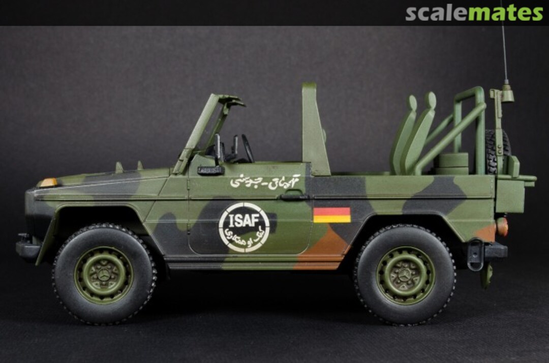 View album, image #1 View album, image #1