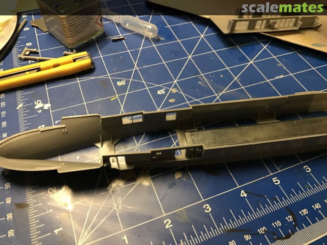 View album, image #1 View album, image #1