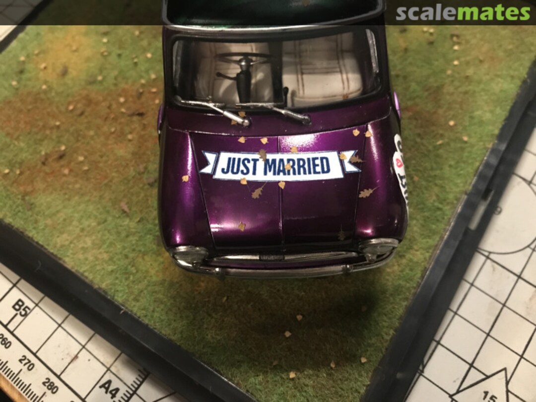 View album, image #1