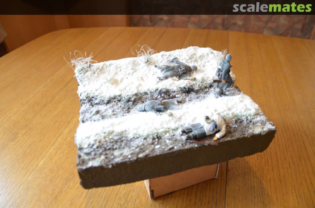 View album, image #1 View album, image #1