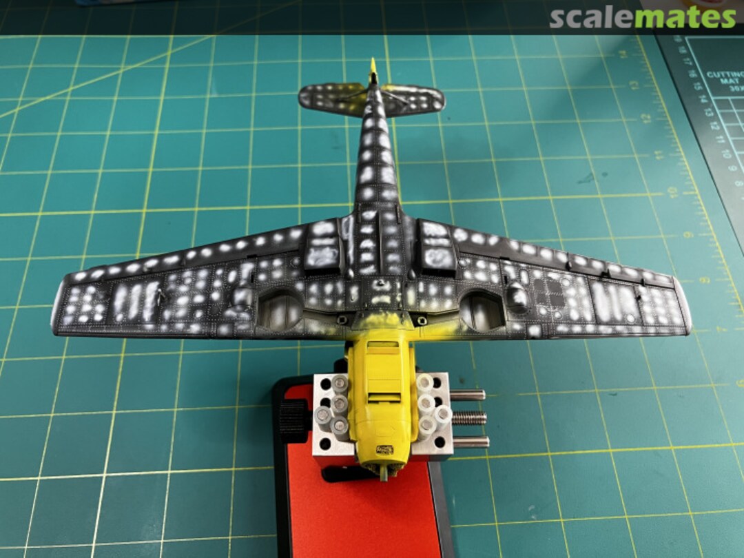 View album, image #1 View album, image #1