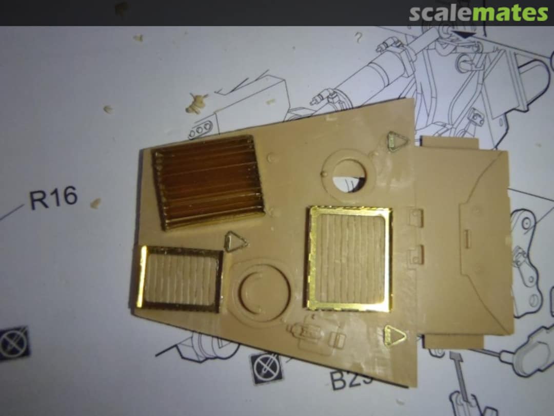 View album, image #1 View album, image #1