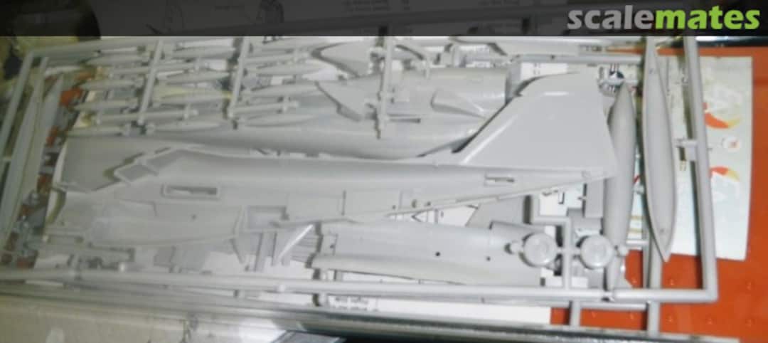 View album, image #1