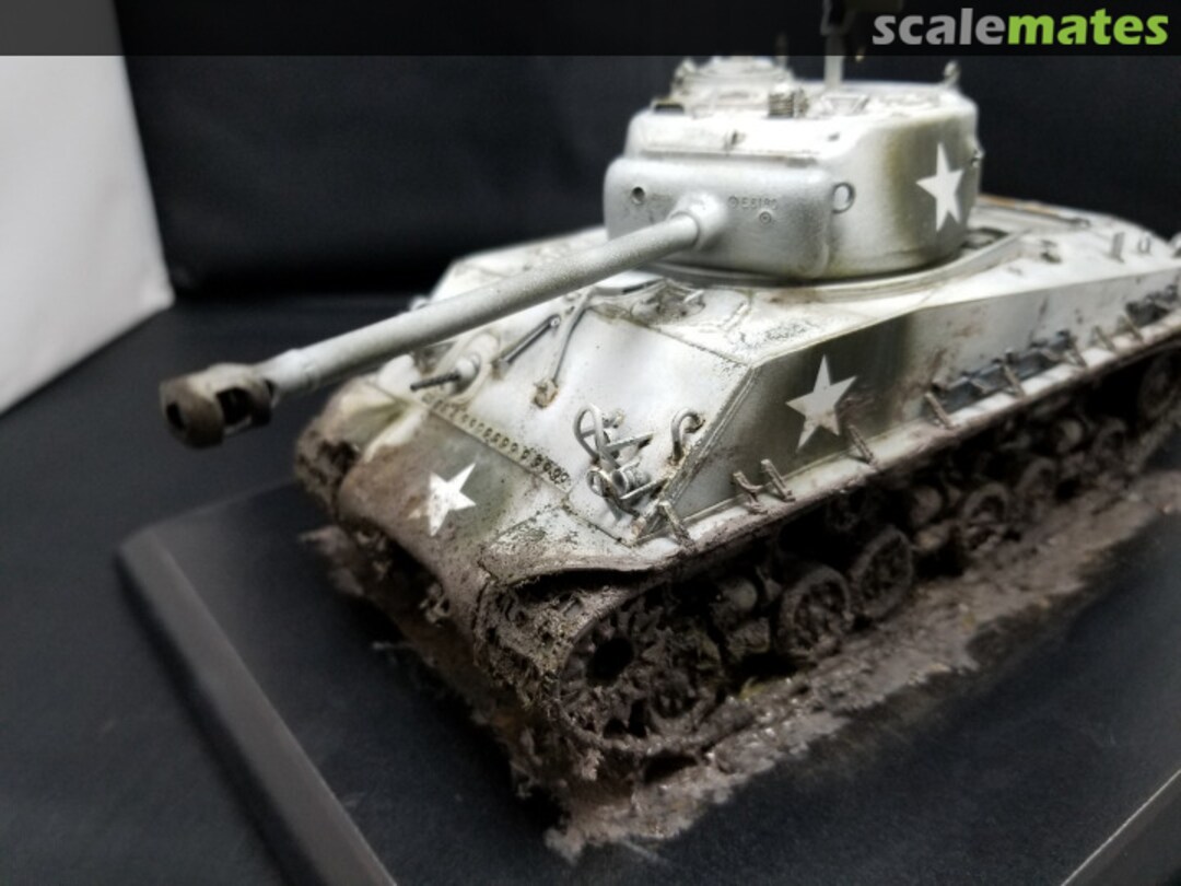 View album, image #1 View album, image #1