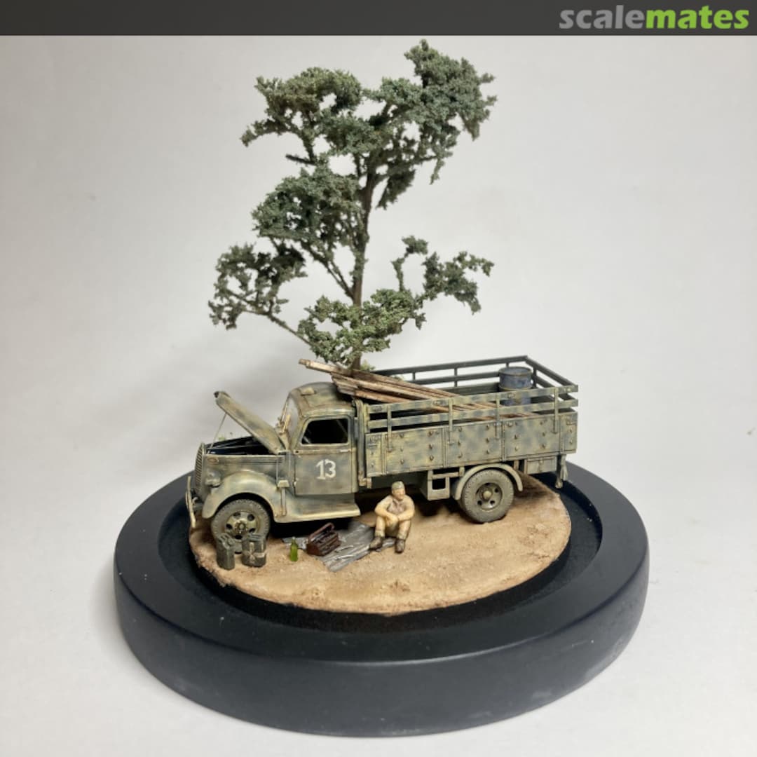 View album, image #19 View album, image #19