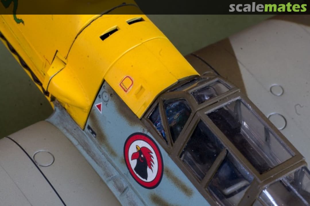 View album, image #15 View album, image #15