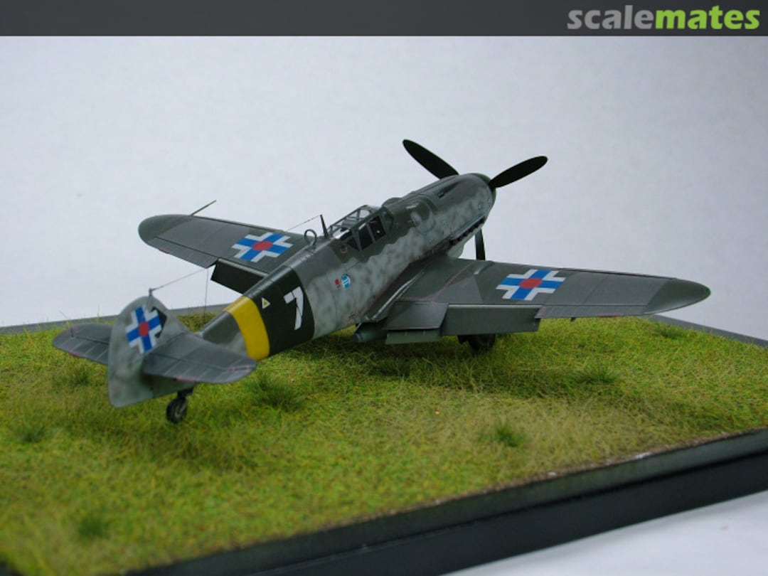 View album, image #1 View album, image #1