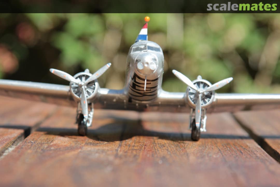 View album, image #1 View album, image #1