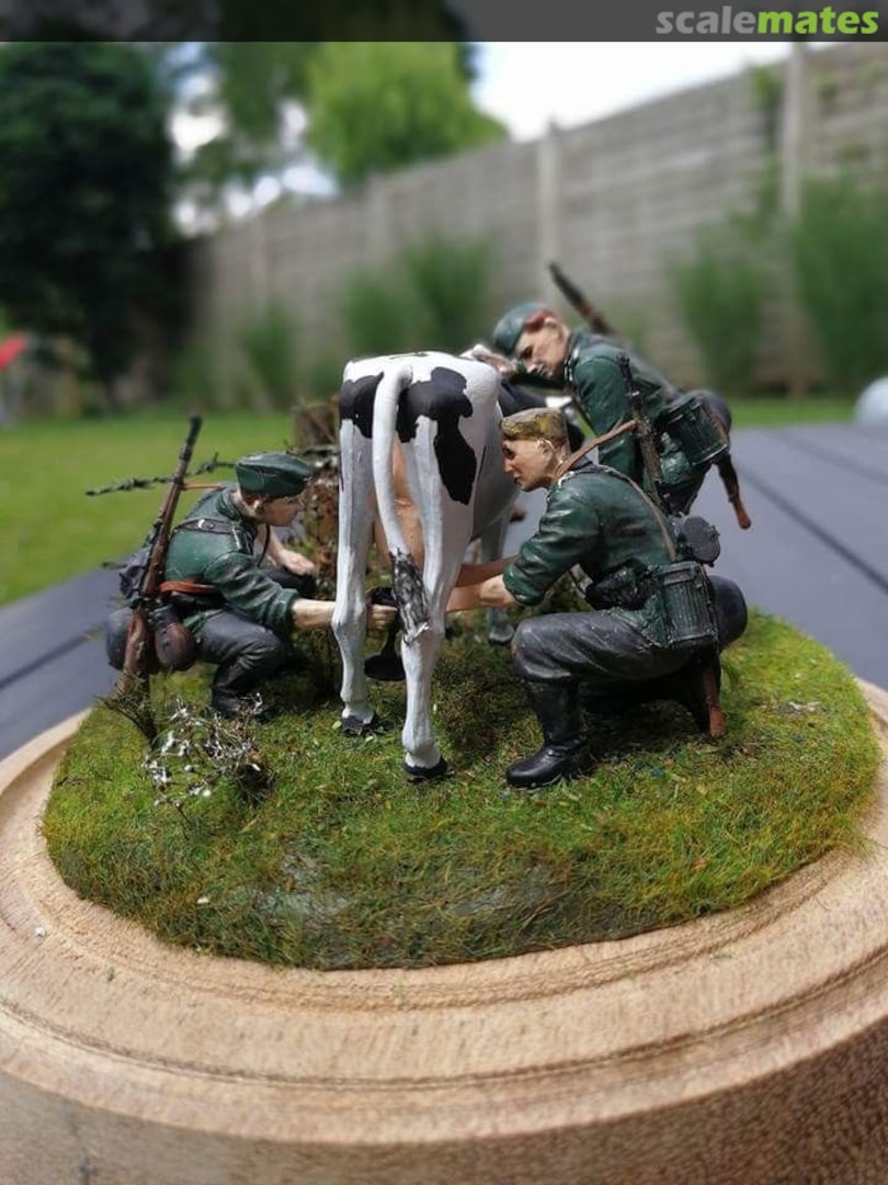 View album, image #1 View album, image #1