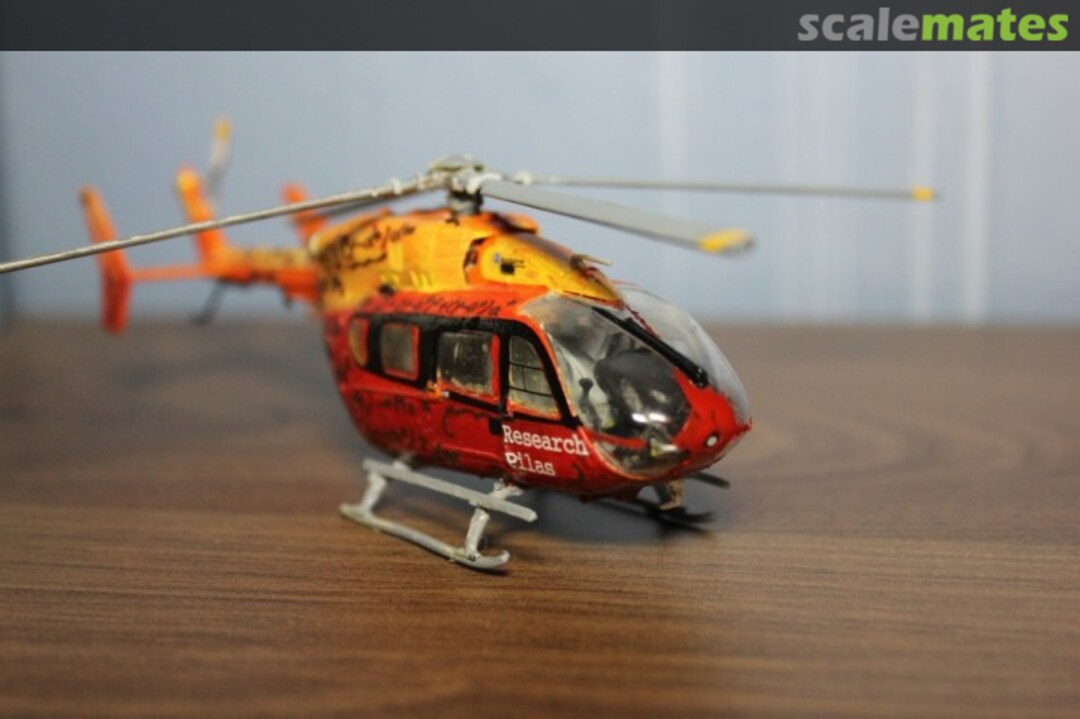 View album, image #1 View album, image #1