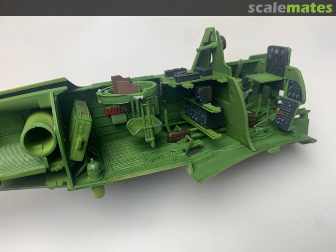 View album, image #1 View album, image #1