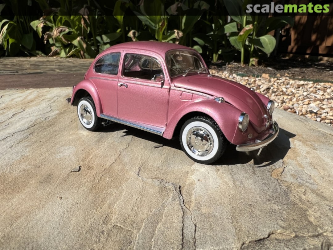 View album, image #7 View album, image #7