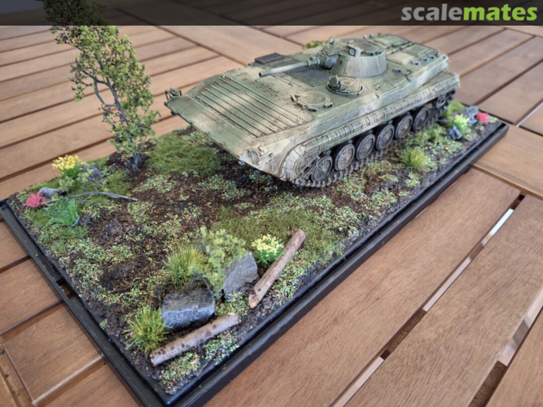 View album, image #11