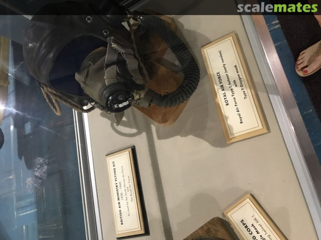 View album, image #1