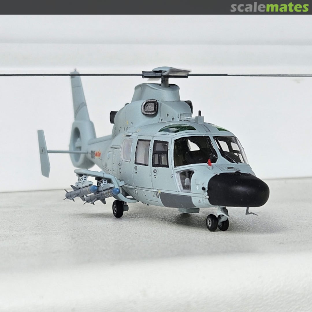 View album, image #6 View album, image #6