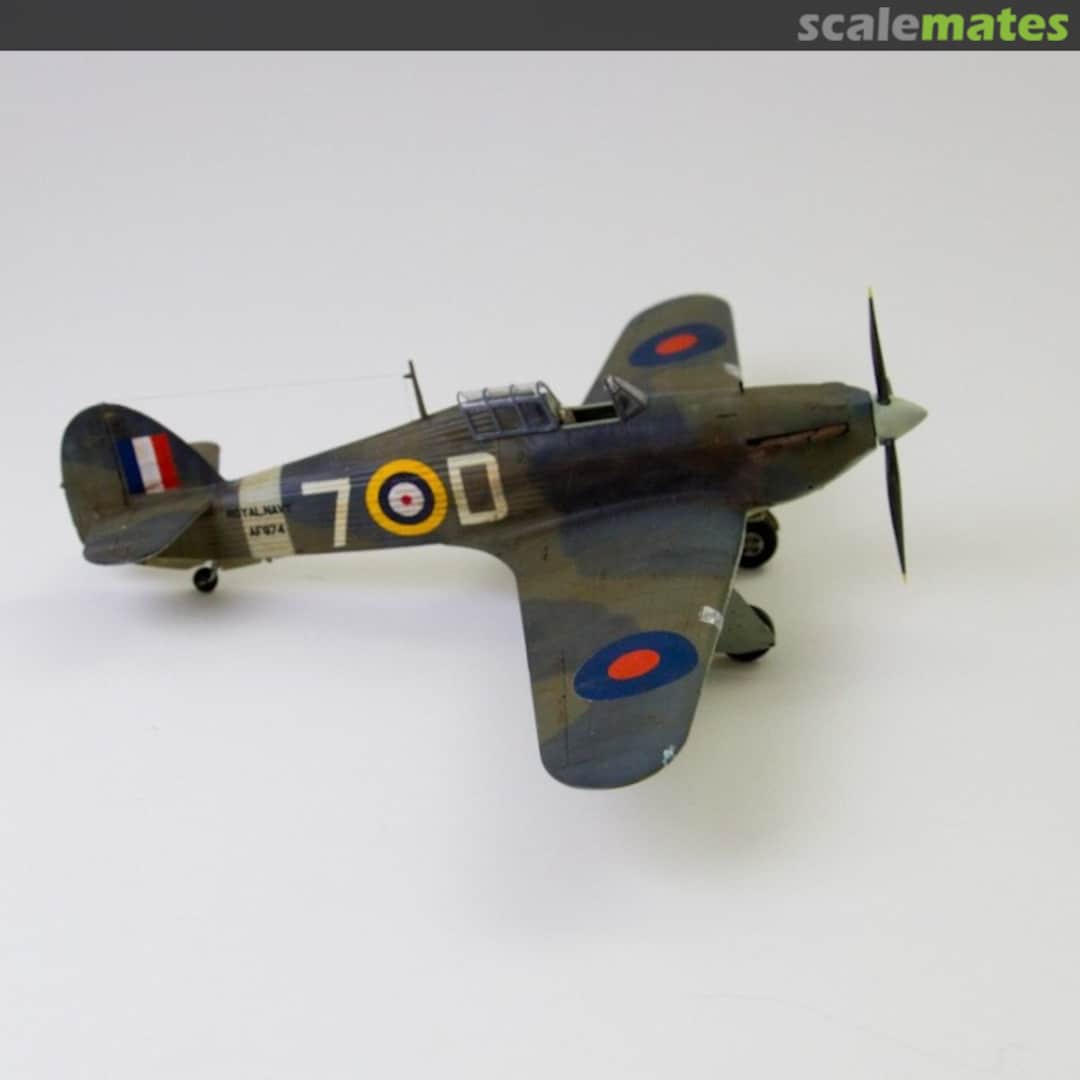 View album, image #1 View album, image #1