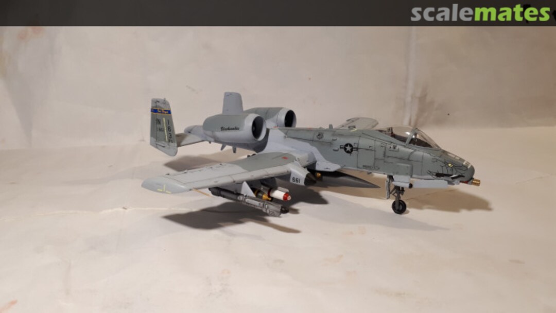 View album, image #1