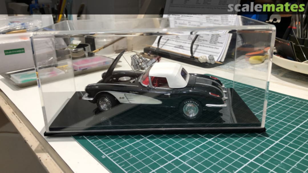 View album, image #96 View album, image #96