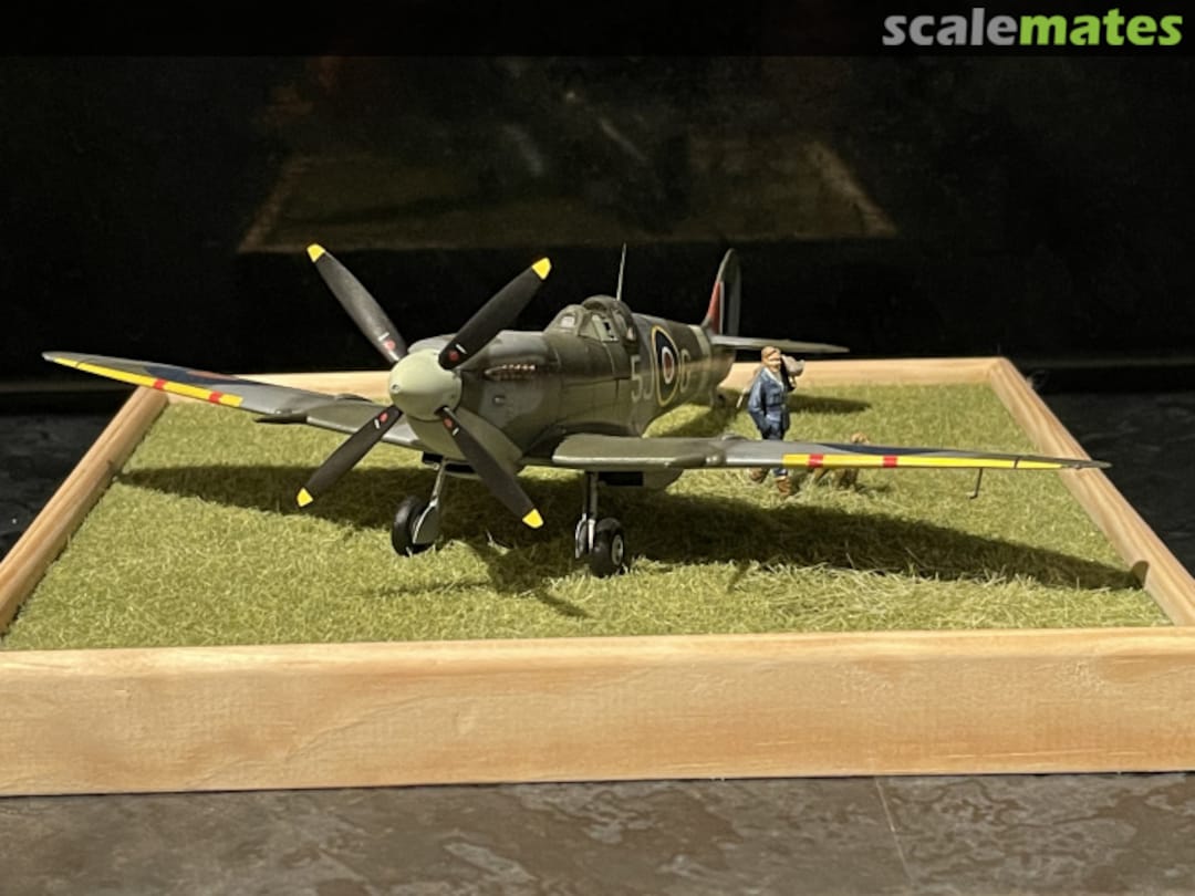 View album, image #7 View album, image #7