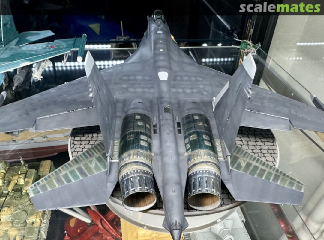 View album, image #24 View album, image #24