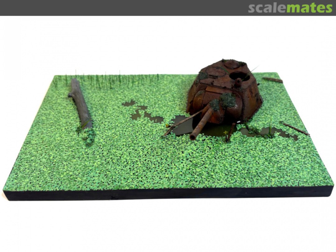 View album, image #1 View album, image #1