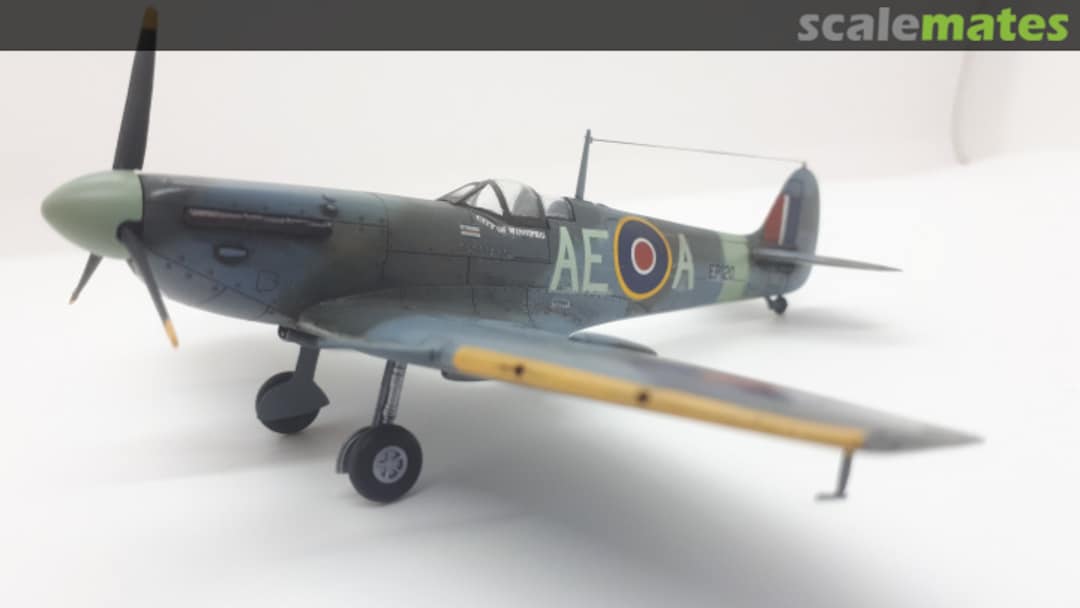 View album, image #1 View album, image #1