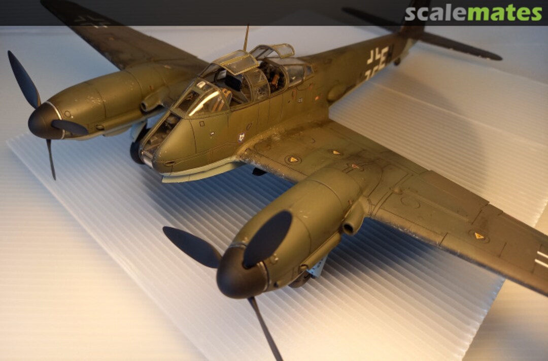 View album, image #1 View album, image #1