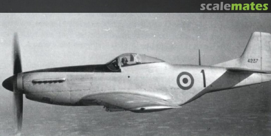 View album, image #2 View album, image #2